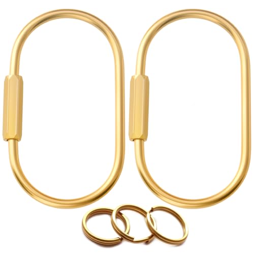 CMVFYL Gold Brass Key Rings, Purse Bag Charms for Handbags, Screw Lock Key Organizer, Carabiner Keychain Clip for Keys