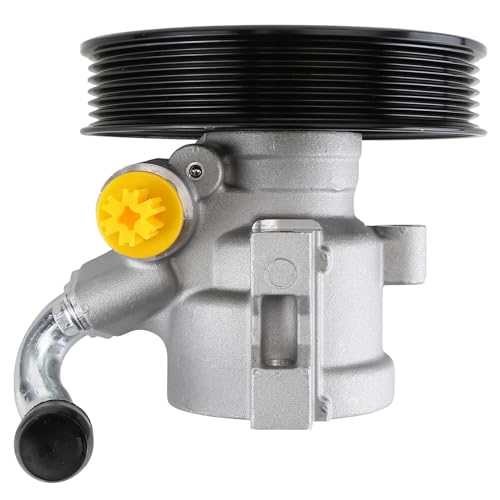 iSpchen Servopumpe Hydraulikpumpe Lenkung Servopumpe Servolenkung Hydraulikpumpe Lenkung Servo Pump Hydraulic Pump Steering 25980805 Kompatibel mit C*h*e*v*r*o*l*e*t C*a*p*t*i*v*a C100