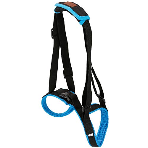 dog harness weak legs