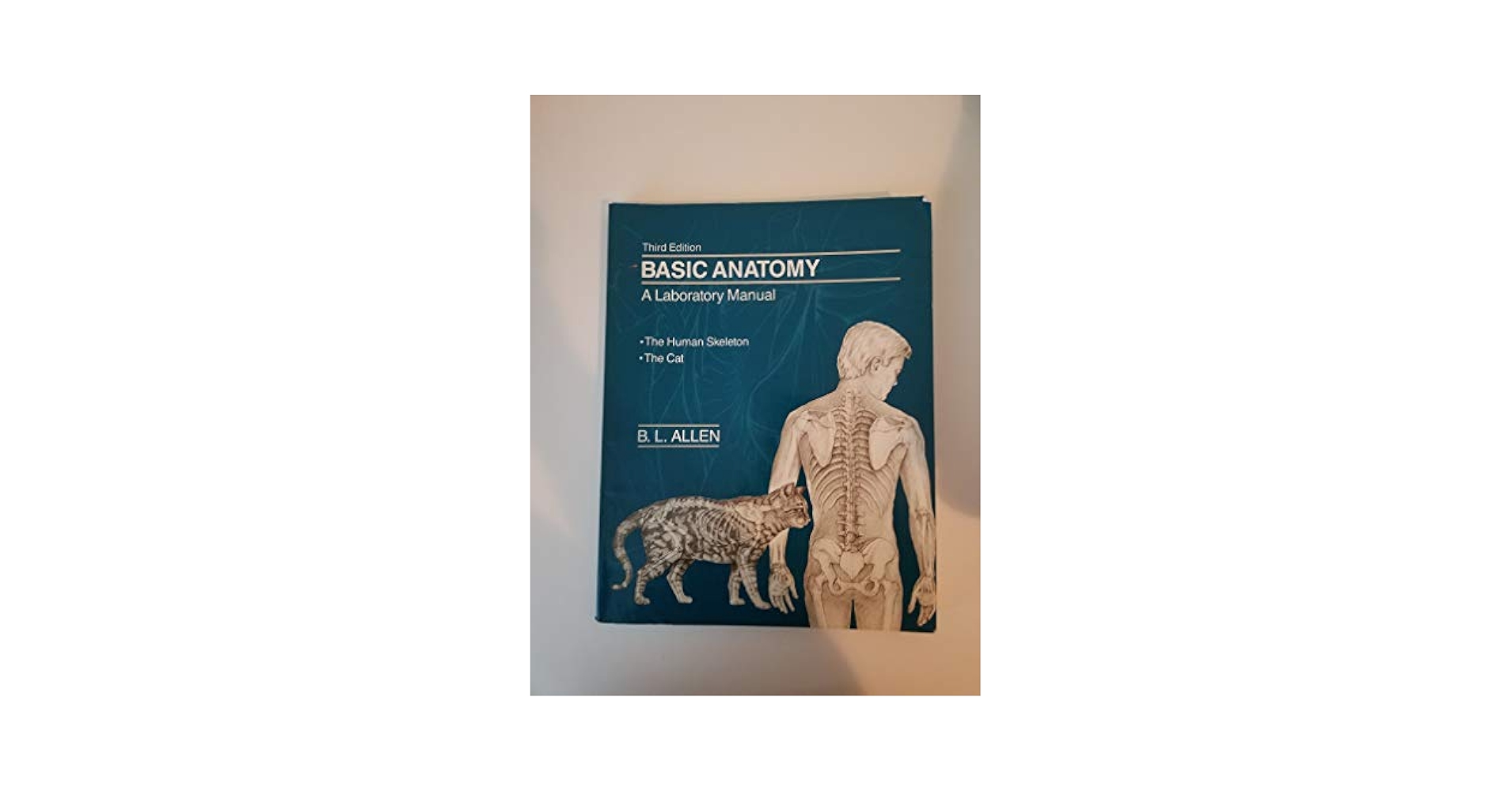 Amazon.com: Basic Anatomy: A Laboratory Manual- The Human