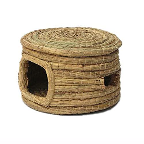 Nid d'oiseau extérieur pour animer votre fenêtre de jardin
