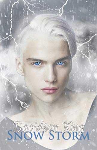 Snow Storm (Haven Hart Book 5) (English Edition)
