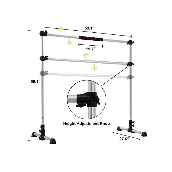 ZELUS Portable Ballet Barre for Home Gym | Freestanding Dance Exercise Equipment for Home Workouts Fitness Flexibility Training with Stretch Band and Tote (5ft, Silver)