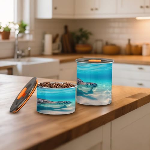 Contenedor Hermético de Acero Inoxidable Blueangle 500 ml miniatura 6