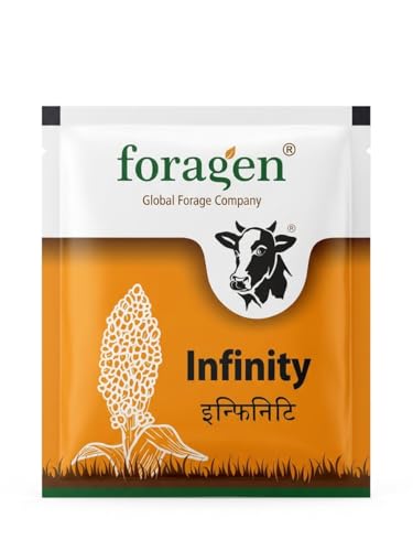 Image of Foragen Infinity Forage Crop Seeds for Livestock, High-Yield Sorghum Variety 100G