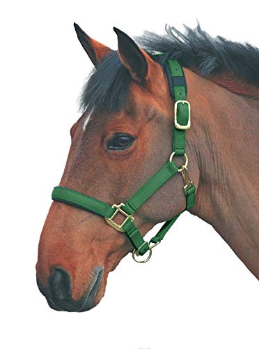 Shires Topaz Leather Breakaway Nylon Headcollar