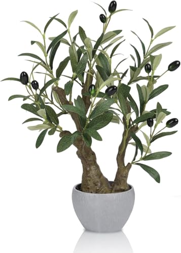 HPNIUB Olive Tree Bonsai Potted Plant Japanese Style Stone Pot Decor