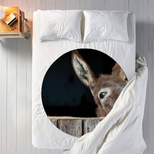 Couverture ronde flanelle Funny Donkey pliable pour canapé et bureau