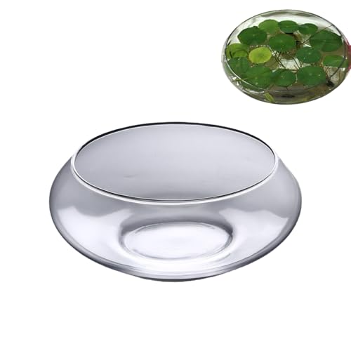 Glas Lotusblumenschale für Hydrokultur & Lotusblume Samen– 9,8 Zoll Bonsaischale Lotusblume, mit Klarem Design für Sukkulenten, Fische & Zimmerpflanzen (Innen/Außen) (L)