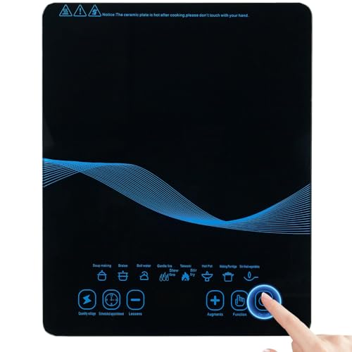 Parrilla Induccion Turmix marca BingZair