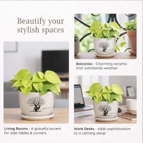 Image of Urban Upvan Tree Design Printed Ceramic Pot with Tray - Premium Decorative Planter for Indoor & Outdoor Plants, Modern Elegant Flower Pot for Home, Garden & Office