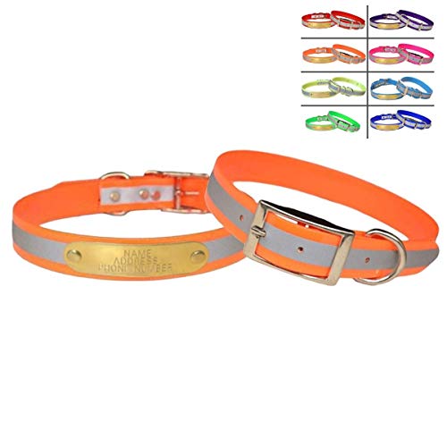 Warner Brand Reflective Dayglo Dog Collar Free Engraved Brass ID tag (Orange 21
