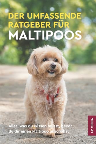 Der Umfassende Ratgeber Für Maltipoos: Alles, was du wissen musst, bevor du dir einen Maltipoo anschaffst