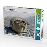 helgoland fotospots Puzzles sind unterhaltend, fördern Wohlbefinden und stimulieren beide Hälften des Gehirns. Das kann die mentale Leistungsfähigkeit sowie Konzentration und Gedächtnis fördern