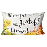 HHERCICIM Thankful Grateful Blessed Throw Pillow Covers,Summer Sunflower Pumpkin Harvest Throw Pillow Cover Holiday Party Supplies for Home Decor 20 x 12 Inch