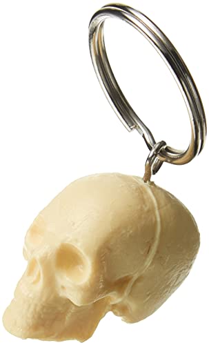 3B Scientific w40001 Porte-clés, crâne Cover