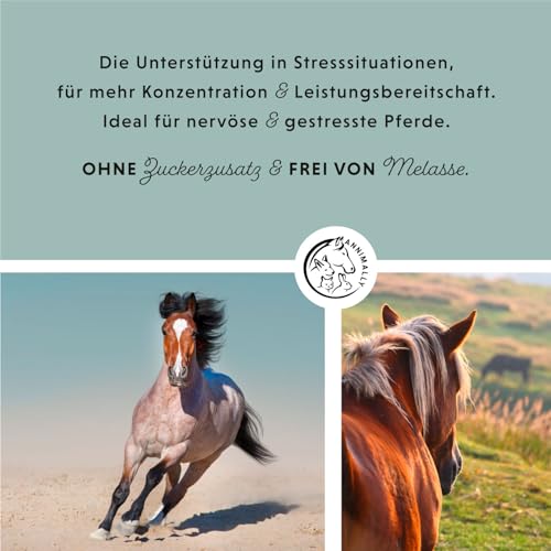 Annimally Magnesium Pellets für Pferde 1 kg - Magnesiumacetat & Magnesiumoxid für höchste Bioverfügbarkeit