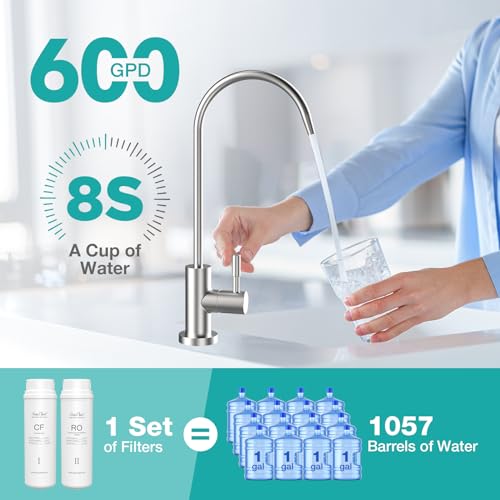 SimPure Q3-600 System Under Sink