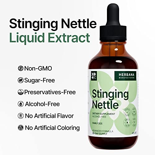 Herbana Manufacturing Stinging Nettle Leaf And Root 4 Fl Oz Liquid Extract - Natural Urinary & Kidney Support For Man And Woman - Organic Urtica Dioica - High Potency Herbal Supplement thumb #4