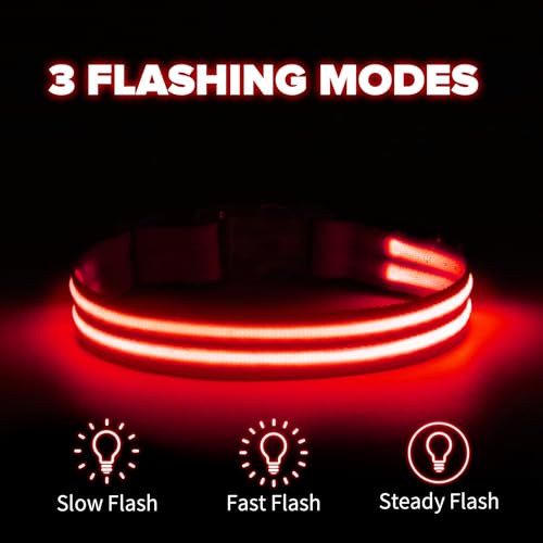 Feycig Leuchthalsband Hund USB Aufladbar - LED Hundehalsband Leuchtend Wasserdicht Leuchtendes Hunde Halsband Einstellbare für Kleine Mittlere Große Hunde, 3 Modi