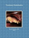 Veterinary Endodontics