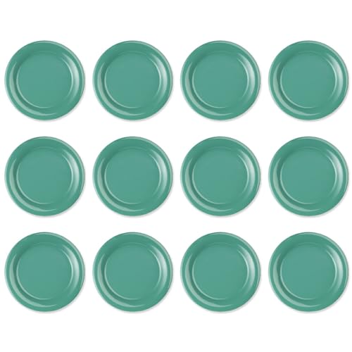 Thunder Group �����v���[�g ���a26.9cm 12���Z�b�g ��v�ȋƖ��p �����~���H�� ���M ��M �V���v�� ����ɂ��� �H��@�Ή� �O���[�� CR110GR-12S