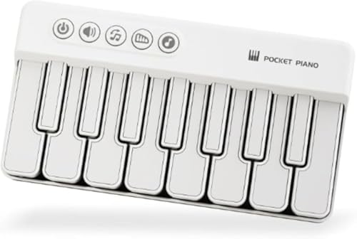 Xiraivke ポケットピアノ、電子キーボード、電子ピアノ、初心者、デスクトップキーボードサウンドコントロール、多機能、学習モード、録音および再生機能、おもちゃのピアノ、楽器おもちゃ楽器、キーボード音楽ギフト