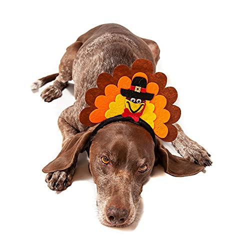 Disfraz Diadema de Pavo para Perro Midlee miniatura 3