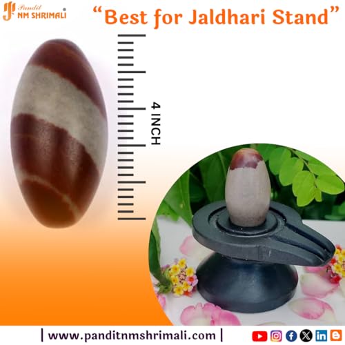 Image of PANDIT NM SHRIMALI Original 4 Inch Narmadeshwar Stone Shivling | Natural Banalinga Lingam for Puja, Vastu, and Meditation | Holy Stone from Narmada River