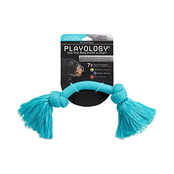 Non Toxic Dog Chew Joy