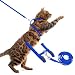 PUPTECK Adjustable Cat Harness Nylon Strap Collar with Leash Blue
