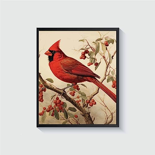 Poster vintage Cardinal Bird avec cadre noir de décoration murale salon