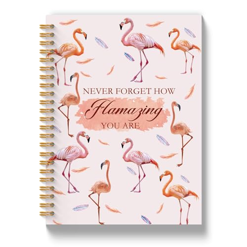 Carnet de notes à spirale flamant rose cadeau inspirant femme anniversaire