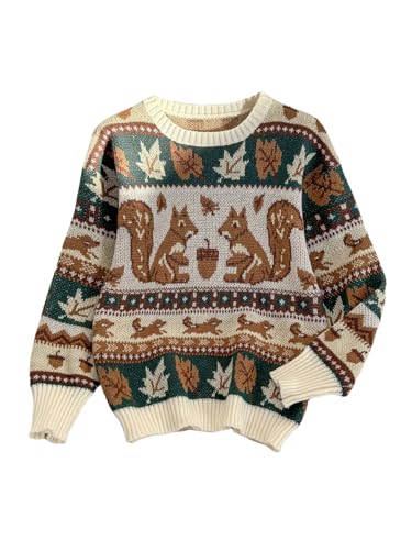 WDIRARA Women's Cute Pattern Long Sleeve Sweater Crew Neck Pullover Knitted Tops4