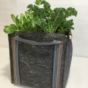 Experiencia Huerto Urbano Saco Tomatero + Plantas ECO: Amazon.es ...