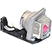 P PREMIUM POWER PRODUCTS BL-FP230D-OEM Lamp for Optoma SP.8EG01GC01 DH1010 EH1020 EW615 EX612 EX615 GT750-XL HD180 HD20 HD22 HD23 HD200X HD20-LV HD2200