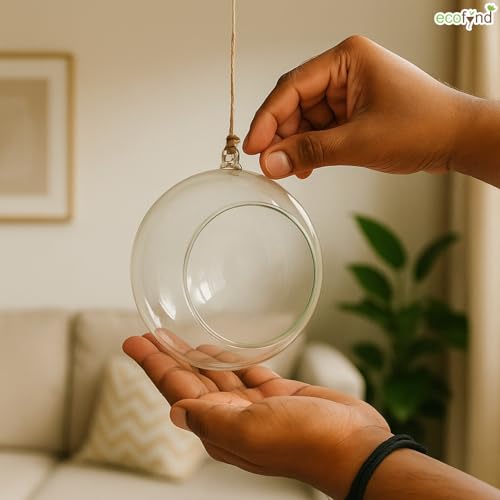 Image of ecofynd Glass Vase for Flowers Plants, Modern Decorative Vase for Home Decor Center Table, Bedroom, Living Room, Office Decoration, Wedding or Gifts (GVASE001)