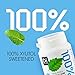 DC24 DAILY CARE 100% Xylitol Gum, No Aspartame, Sugar Free Peppermint Chewing Gum, Natural Flavors, Gluten Free, Vegan, 60 Pieces, Pack of 2