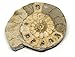 Limestone Ammonite Fossil Great Britain 16990