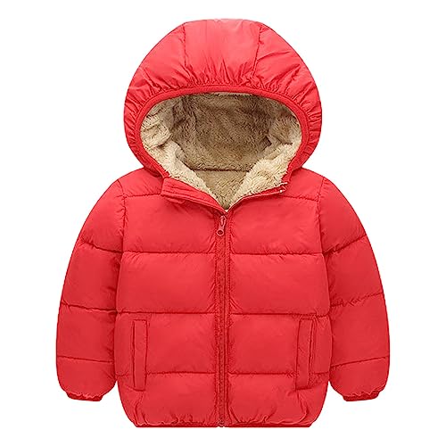 sfdgfhyf Girls and Toddler's Winter Coat Fleece Lined Hooded Quilted Bubble Puffer Jacket Kids Toddler Girls