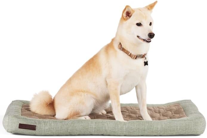 review Reddy CBD Sleep Mat/Bed for Dogs, 30 L X 19