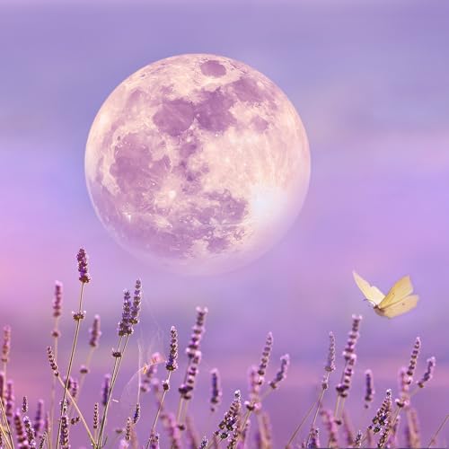 Full Moon Meditation Music & Nature Sound Healing cover art