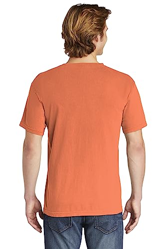 Image of Comfort Colors Adult Short Sleeve Tee, Style G1717