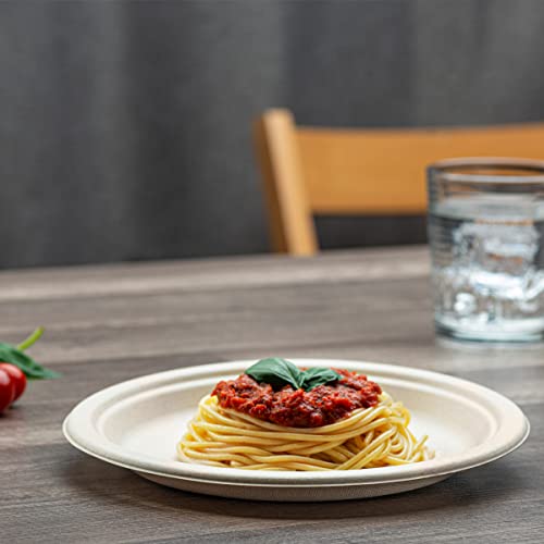 100% Compostable 9 Inch Heavy-Duty Paper Plates [125 Pack] Eco-Friendly Disposable Sugarcane Plates - Brown Unbleached #TOP4