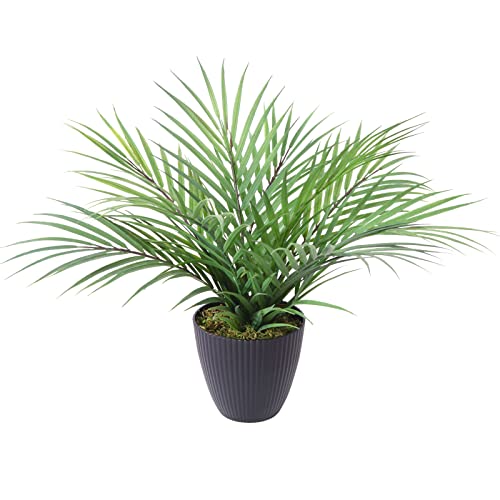 CROSOFMI Künstliche Paradies-Palme, 30,5 cm, künstliche Palme mit 9 Blättern, künstliche Palme im Topf für drinnen und draußen, Haus, Büro, moderne Dekoration, perfektes Einweihungsgeschenk, 2 Stück Cover
