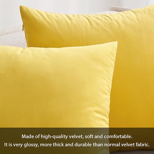 Image of MIULEE Pack of 2 Velvet Pillow Covers Decorative Square Pillowcase Soft Solid Lemon Yellow Cushion Case for Sofa Bedroom Car 22 x 22 Inch 55 x 55 cm