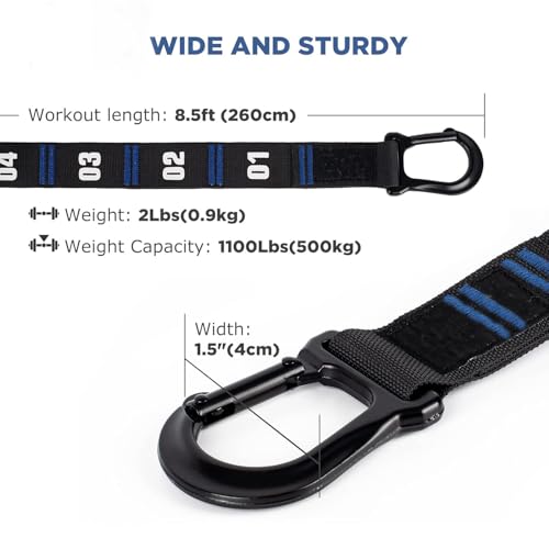 Image of Adjustable Numbered Straps for Gymnastic Rings Steel Carabiners Quick Hook System Easy to Set Up One Pair Strap Only (Blue)