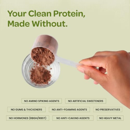 Image of Bigmuscles Nutrition Clean Plant Protein | 25g Pea & Rice Protein Isolate Per Serve (1kg, Chocolate Noir) | Complete Amino Acid Profile | Easy Digestion & Non-Chalky
