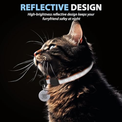Collier pour chat avec code QR et clochette réfléchissante ajustable