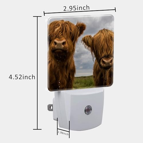 Image of Highland Cows Night Light with Dusk to Dawn Sensor for Kid Girls Boys Women Men Room Decor, Hallway, Kitchen, Bathroom, Nursery, Stairs